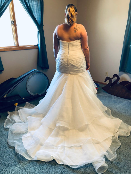 Cosmobella 7917