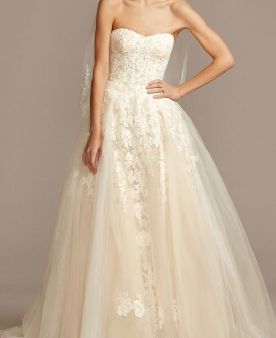 David's Bridal 10600077