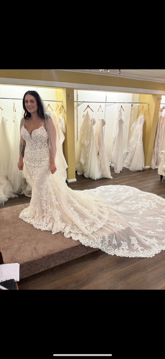 Demetrios 1242