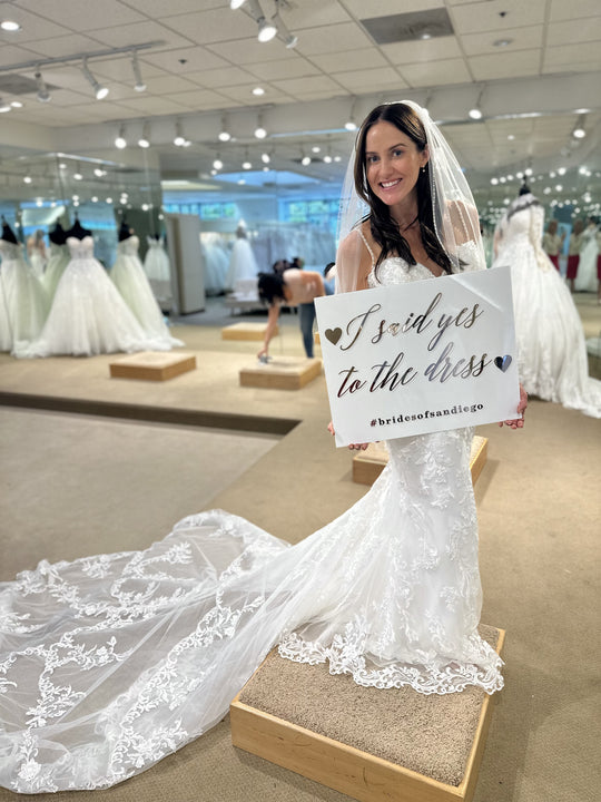 Demetrios 1154