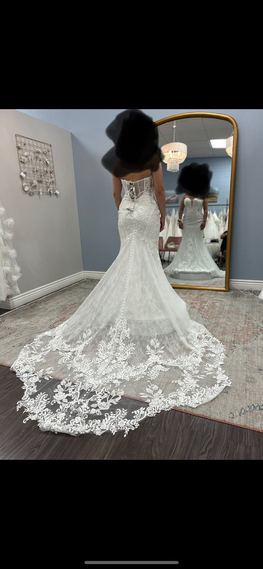 Essense of Australia