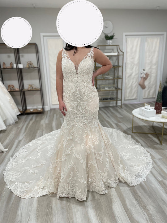 Jasmine T222060