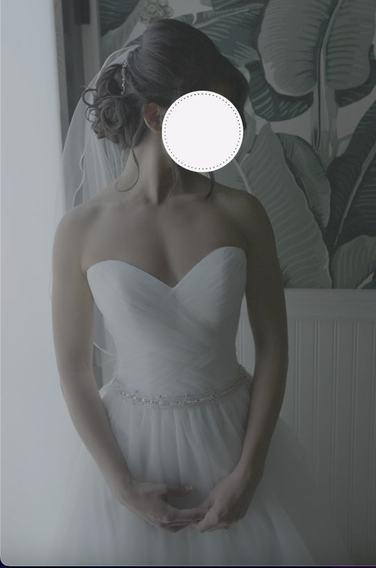 Moonlight PB6482