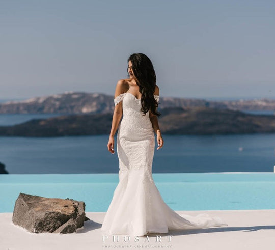 Pallas Couture Illusion Back Lace Mermaid & Overskirt