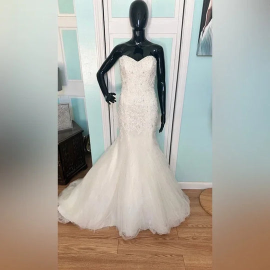 Sophia Tolli Y11625