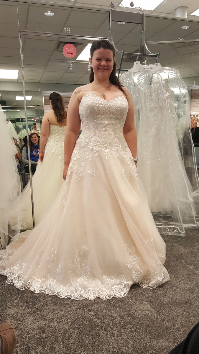 David's discount bridal v3836
