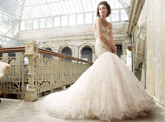 Lazaro 3217