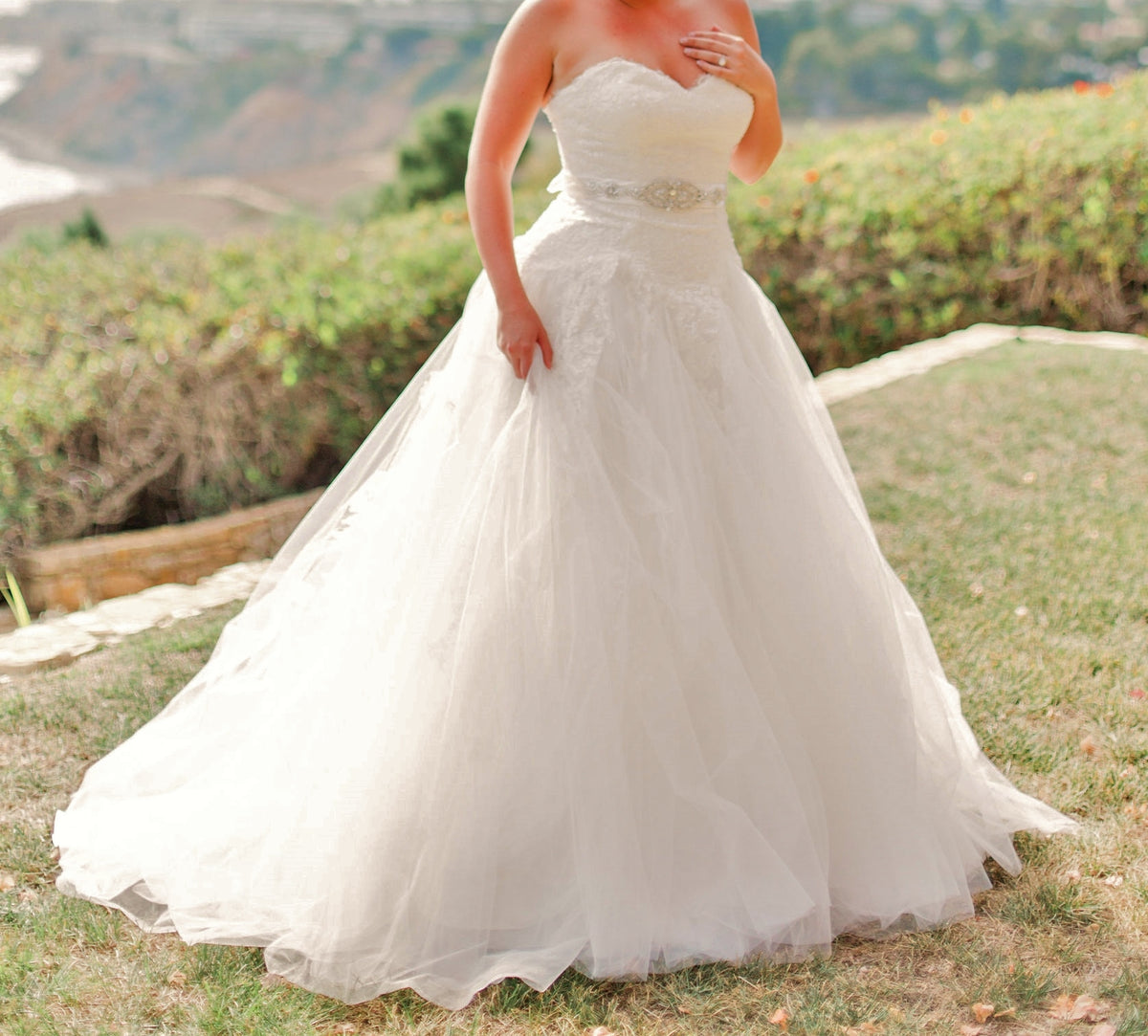 Other Symphony of Venus – Nearly Newlywed