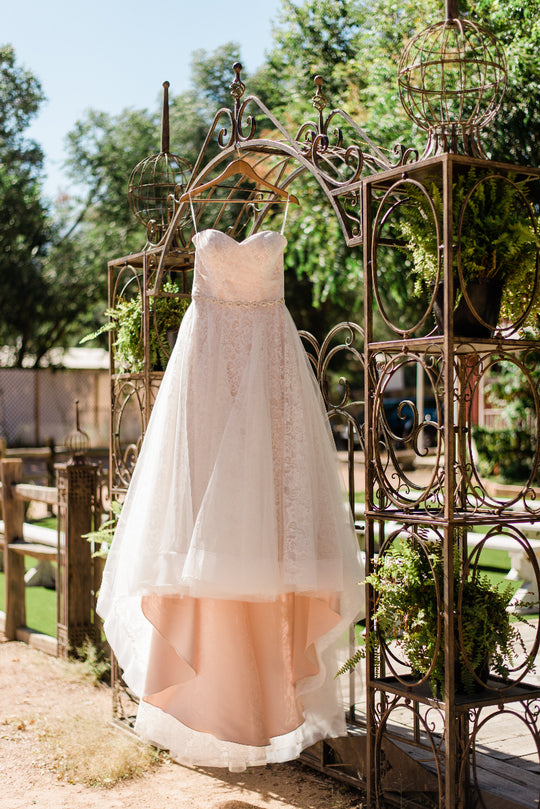 Rose Collection Summer