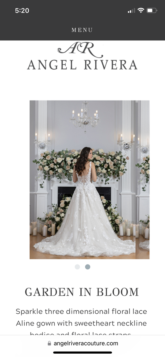 Angel Rivera Garden In Bloom