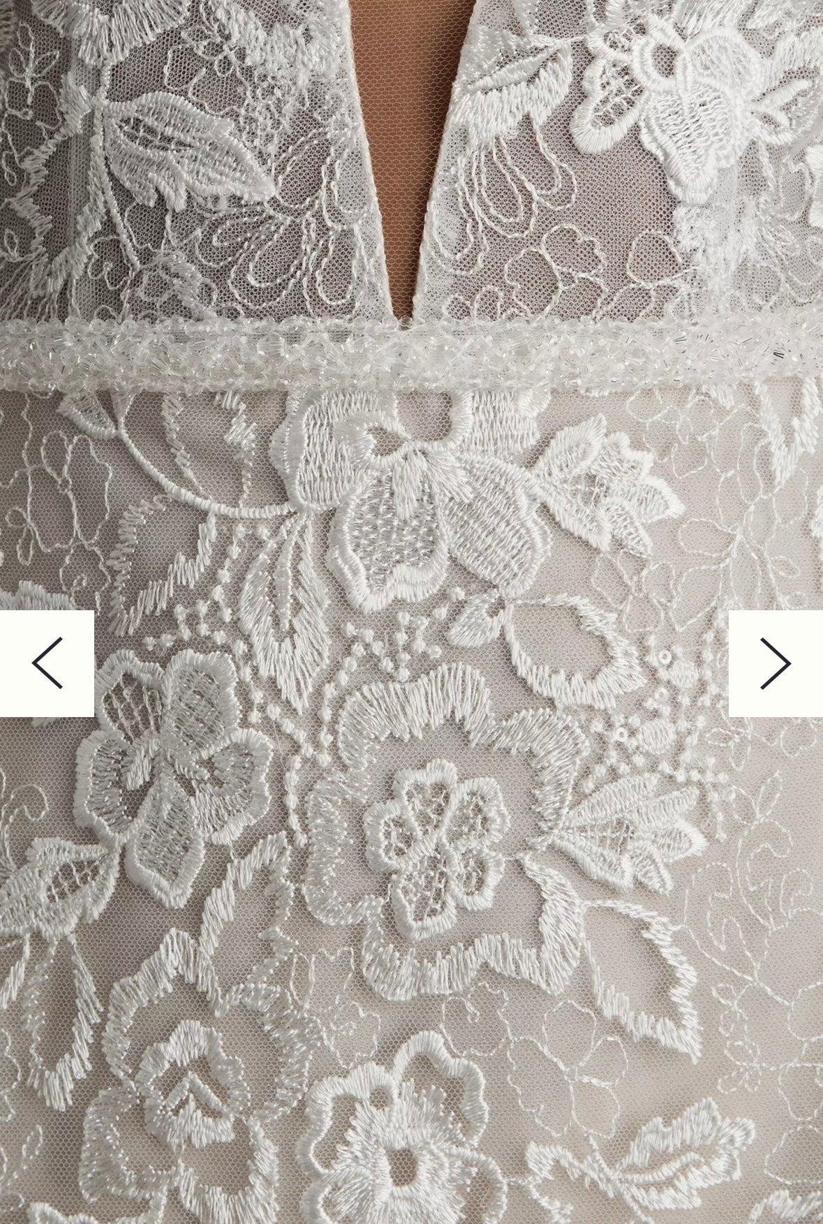 BHLDN Riki Dalal Joan Illusion V-Neck Long-Sleeve Lace