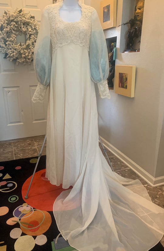 Bianchi House of Bianchi Vintage 70s Long Sleeve Chiffon Organza Gown