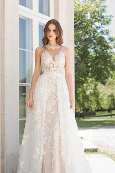 Calla Blanche 162259