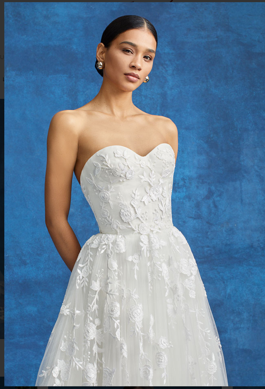 knee length dresses for ladies Carolina Herrera S2221E707NTU – Nearly Newlywed