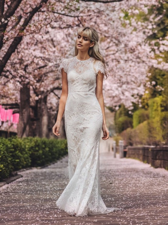 Catherine Deane Lavi