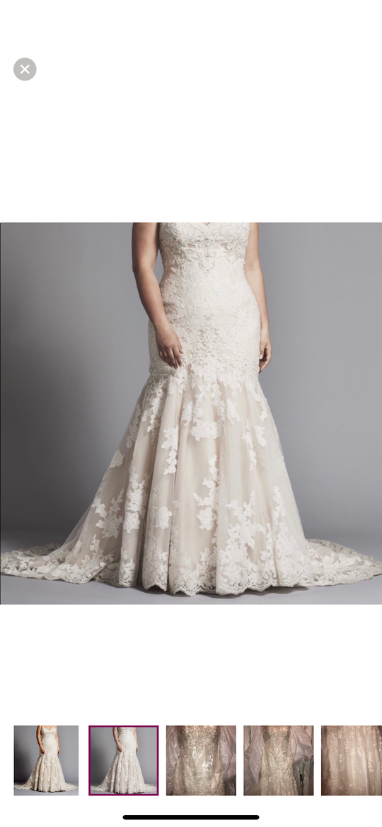 Danielle Caprese 113162XS