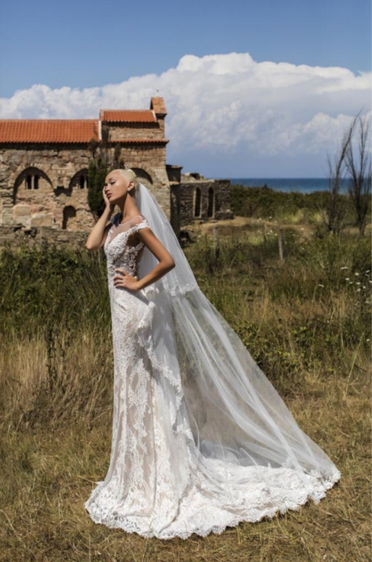 Daria Karlozi Luxurious Begonia