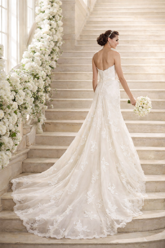 David Tutera 213249