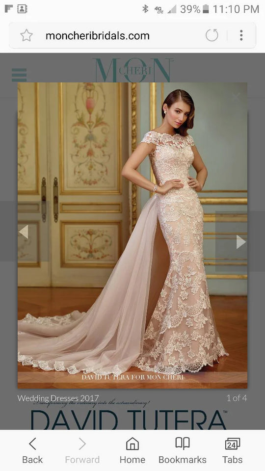 David Tutera De-tachable Train!