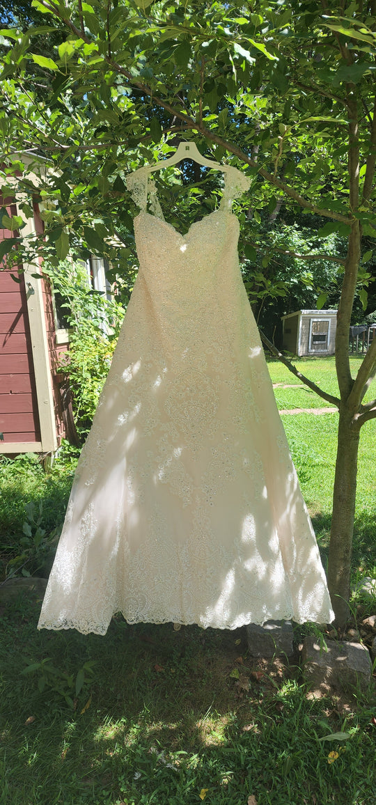 David Tutera Katharine