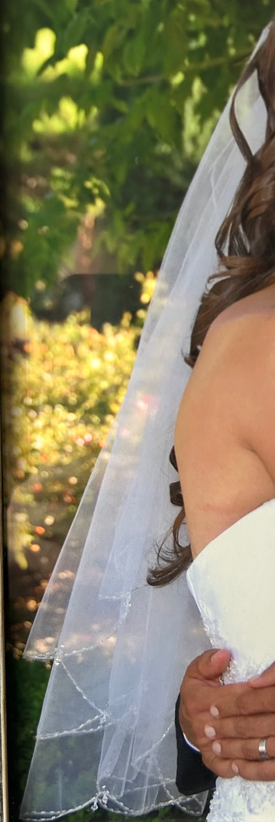 David's Bridal 4501-0453