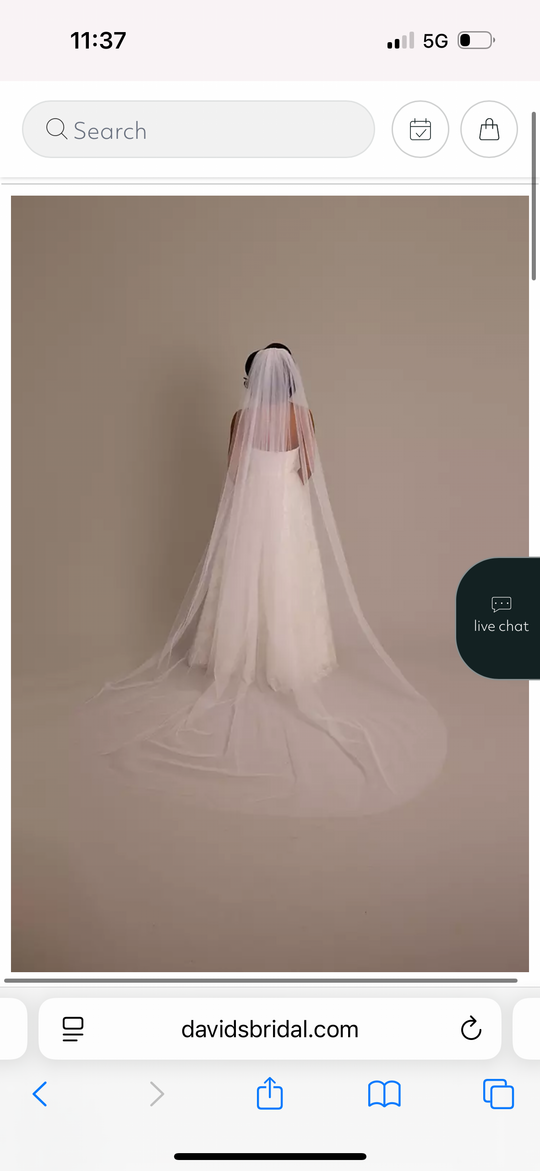 David's Bridal Cathedral veil: raw edge with sequins
