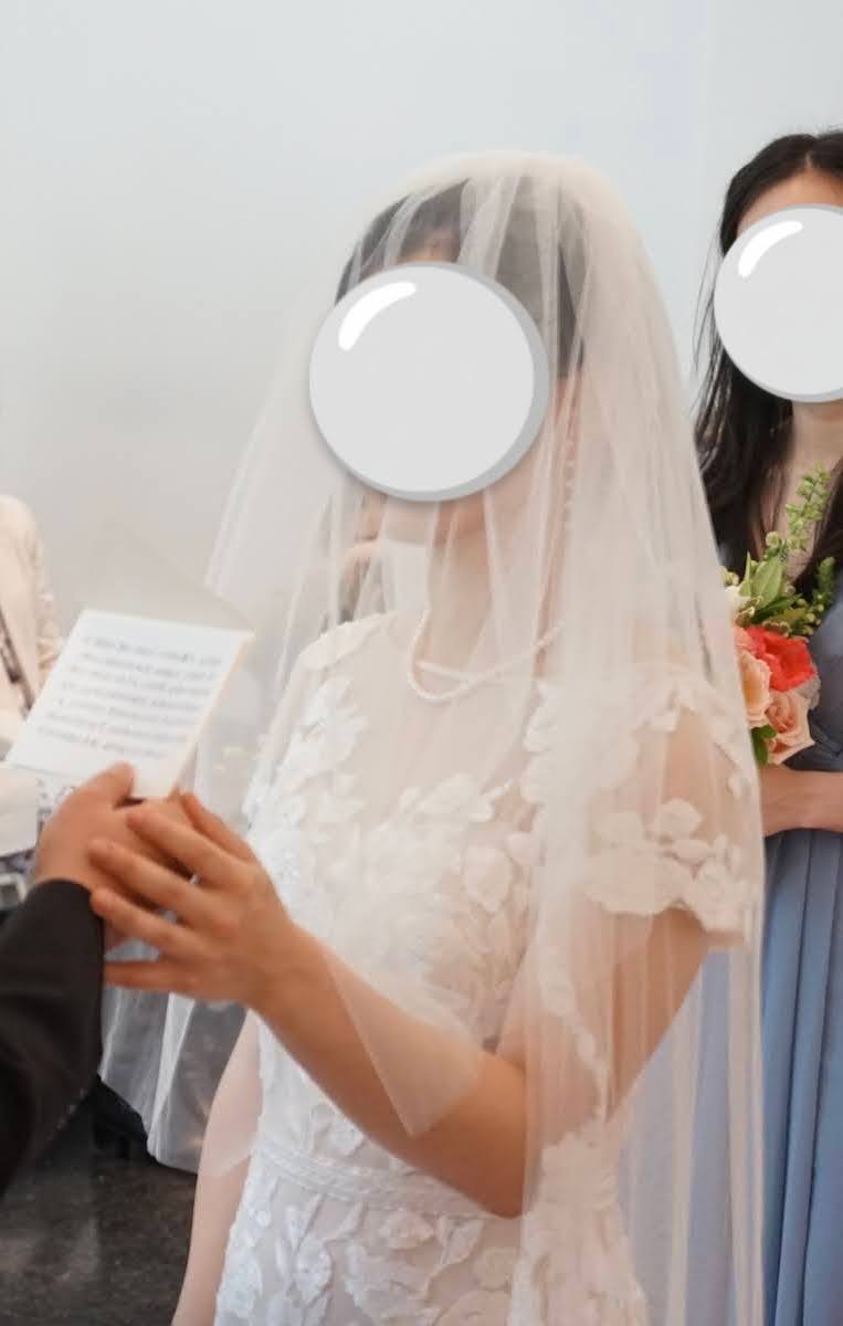 David's Bridal アメリカ製ウェディングドレス US ベール付き Set-CWG984-11661253-
