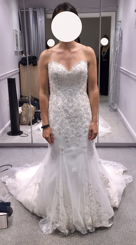 Dennis Basso 33067778