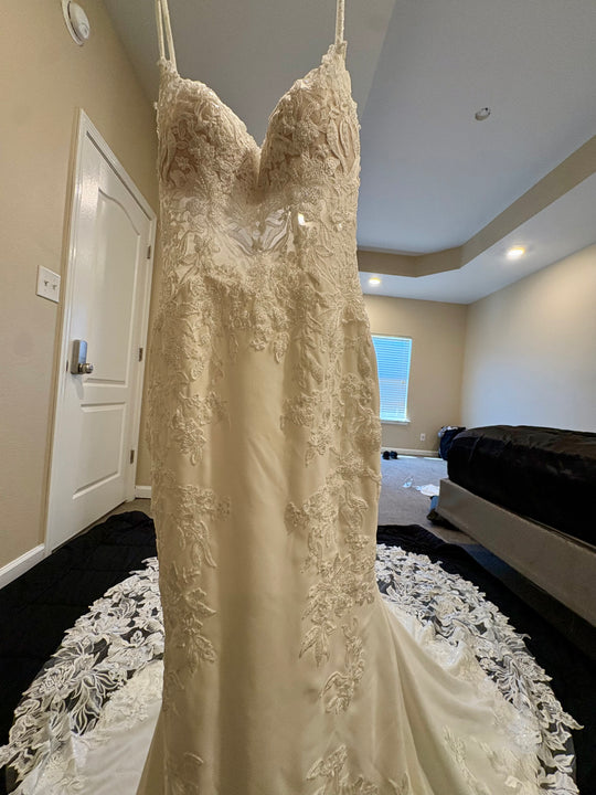 Essense of Australia D3458