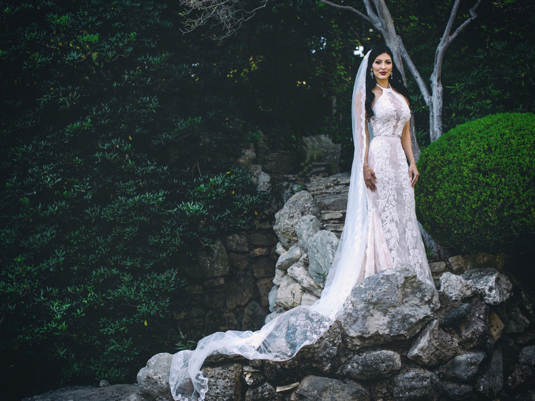 Galia lahav victoria best sale