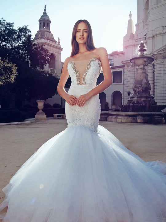 Lauren Elaine Pallas