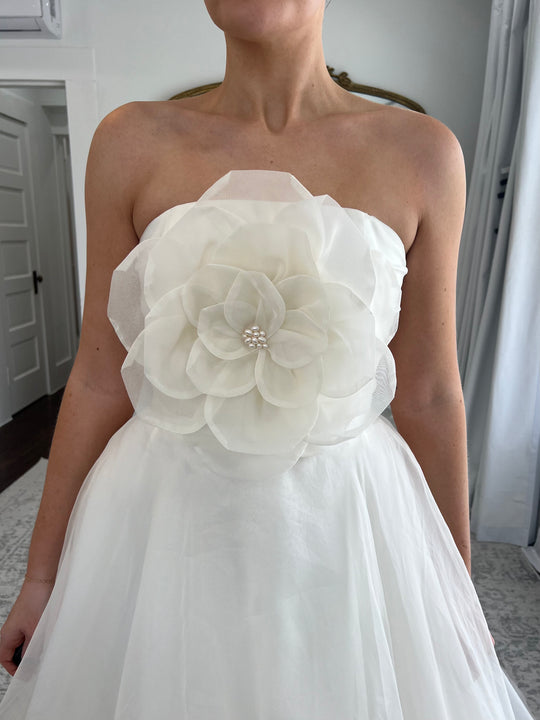 Lea Ann Belter Elara