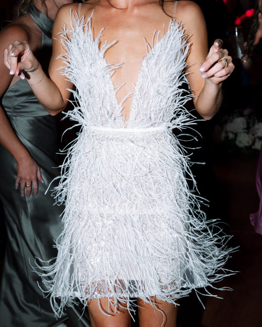 Lee Grebenau Mini Feather Dress
