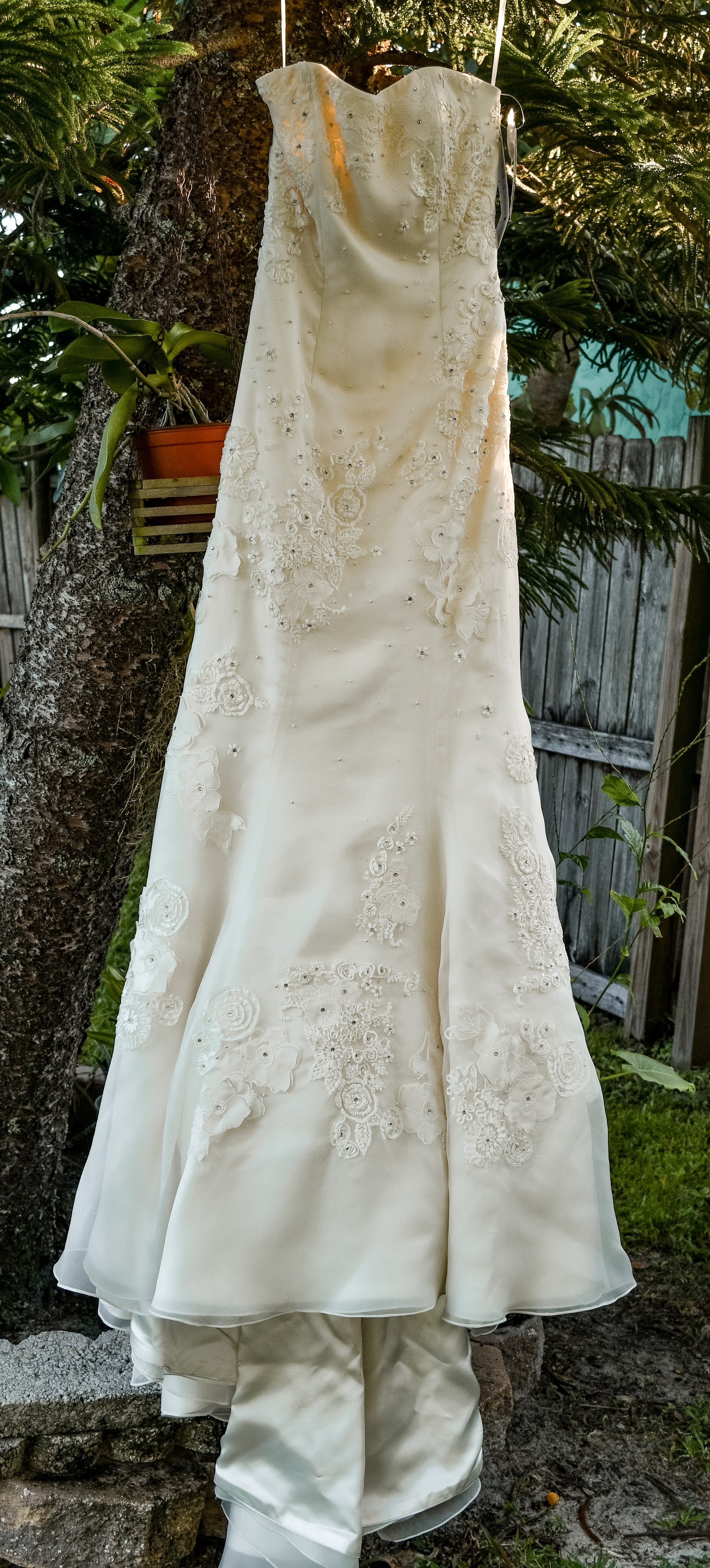 Melissa Sweet Saffron – Nearly Newlywed