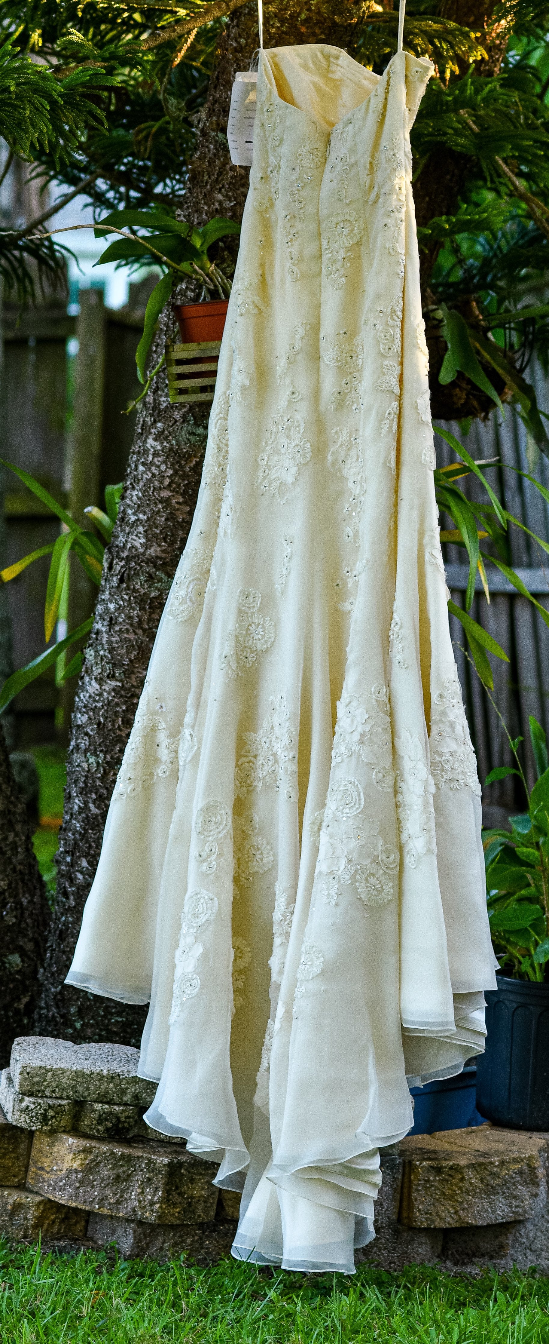 Melissa Sweet Saffron – Nearly Newlywed