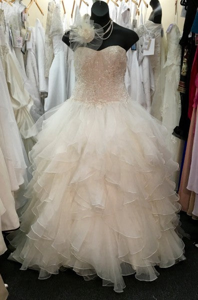 Oleg Cassini 8CWG568