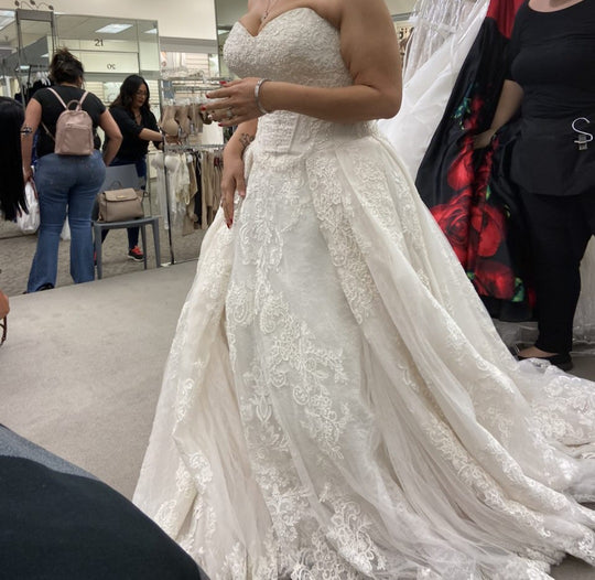 Oleg Cassini 8CWG749