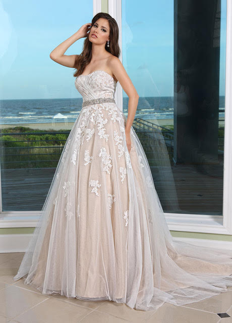 Champagne wedding dress with ivory lace overlay best sale