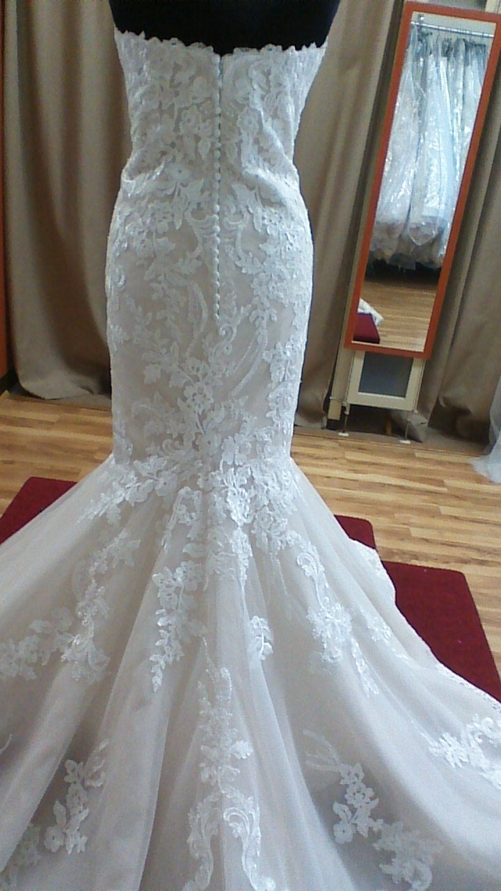 pronovias-aegir-2019-