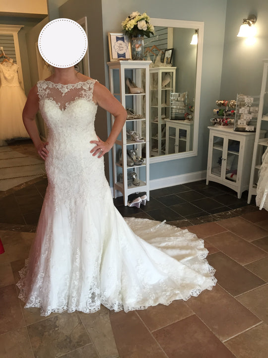 Sophia Tolli Y11419
