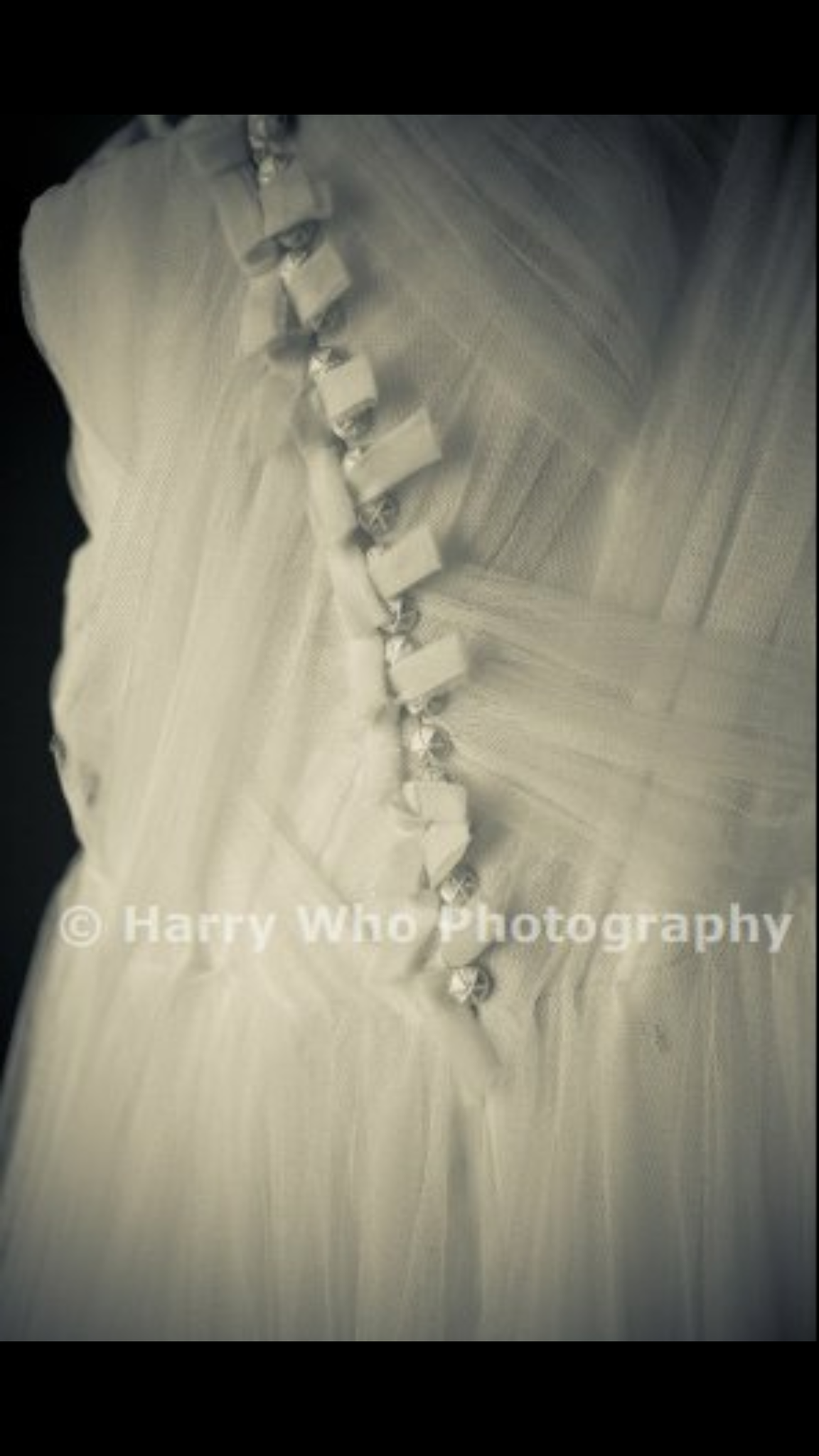 Vera Wang Delaney – Nearly Newlywed