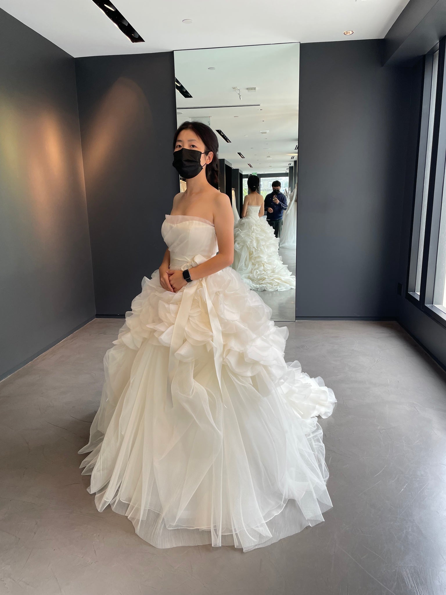Ball Gown Vera Wang Grey Wedding Dress Vera Wang Alizee Wedding