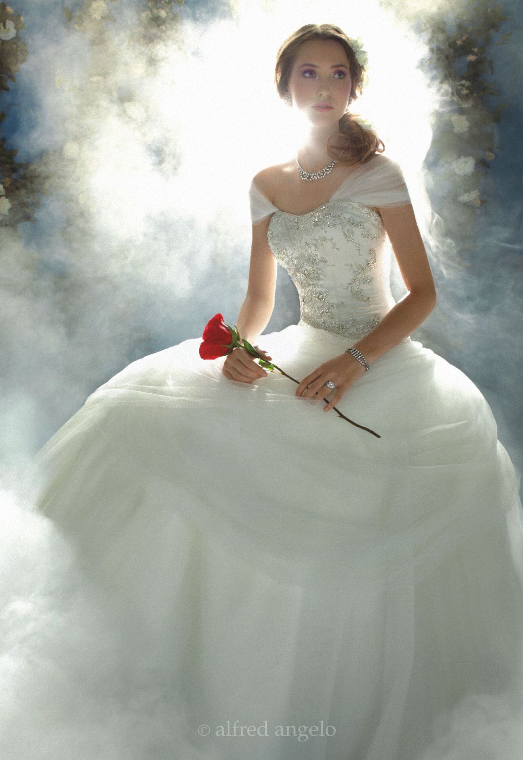 Bridal Collection Disney Wedding Dresses 2016 Alfred Angelo Disney