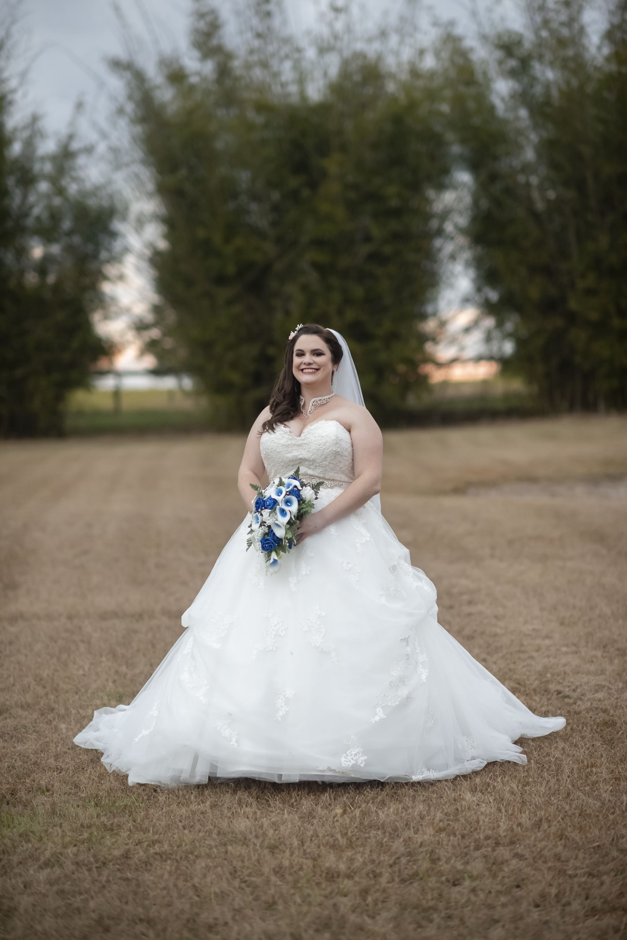 Disney Princess Wedding Gowns Alfred Angelo Disney 2018 Alfred