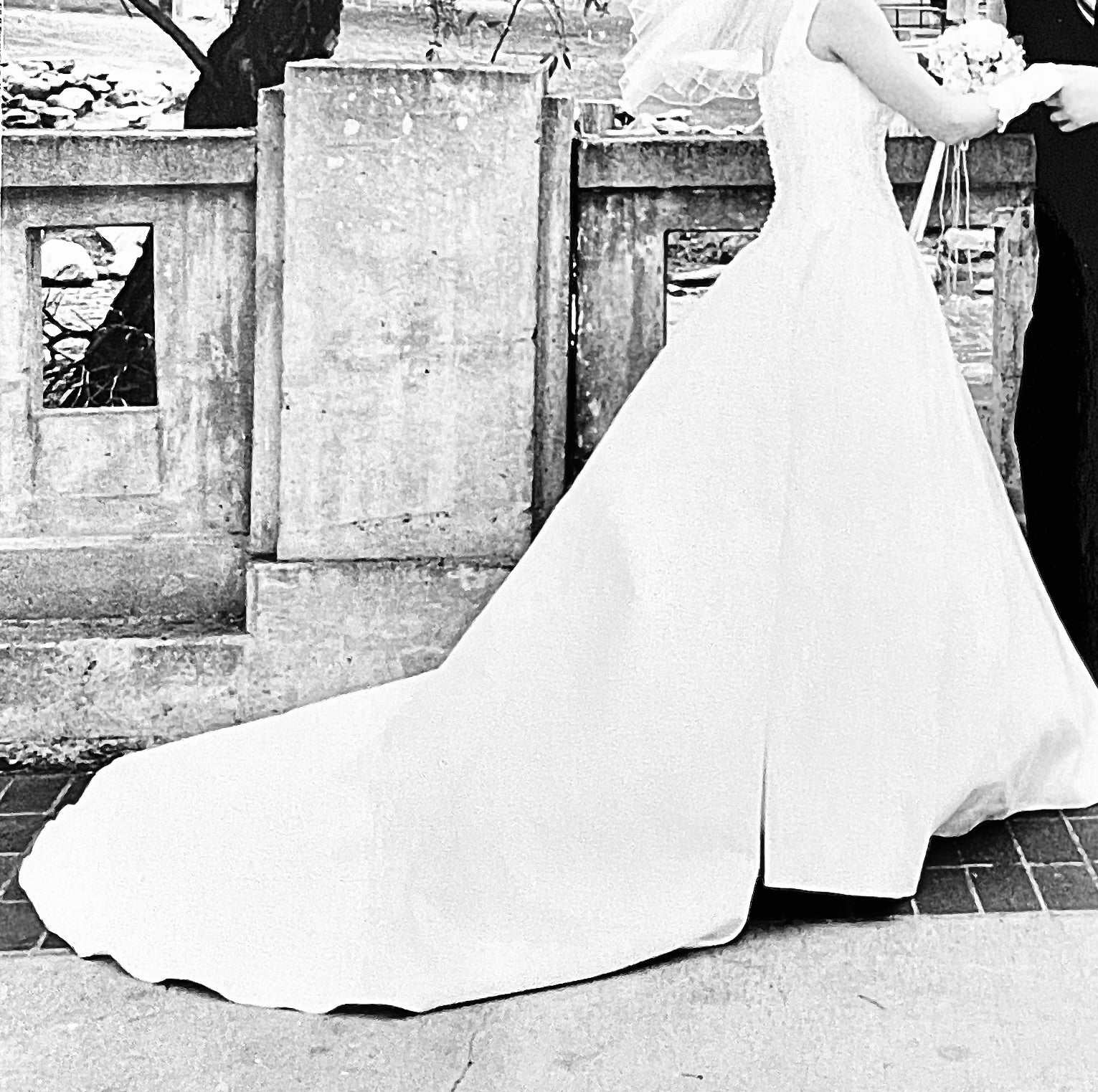 Alfred angelo black new arrivals and white wedding dress