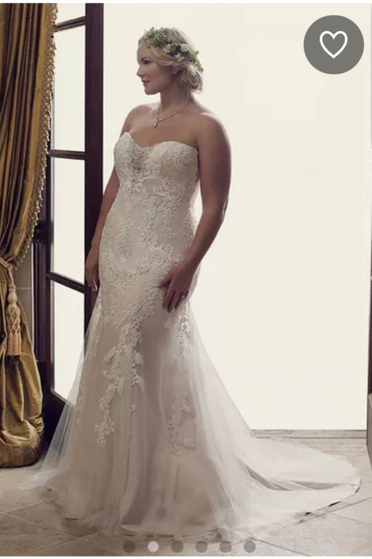 Amelia Casablanca lotus/2242