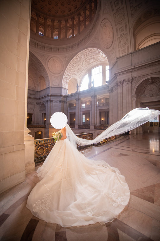 Basix Black Label Ball gown/10