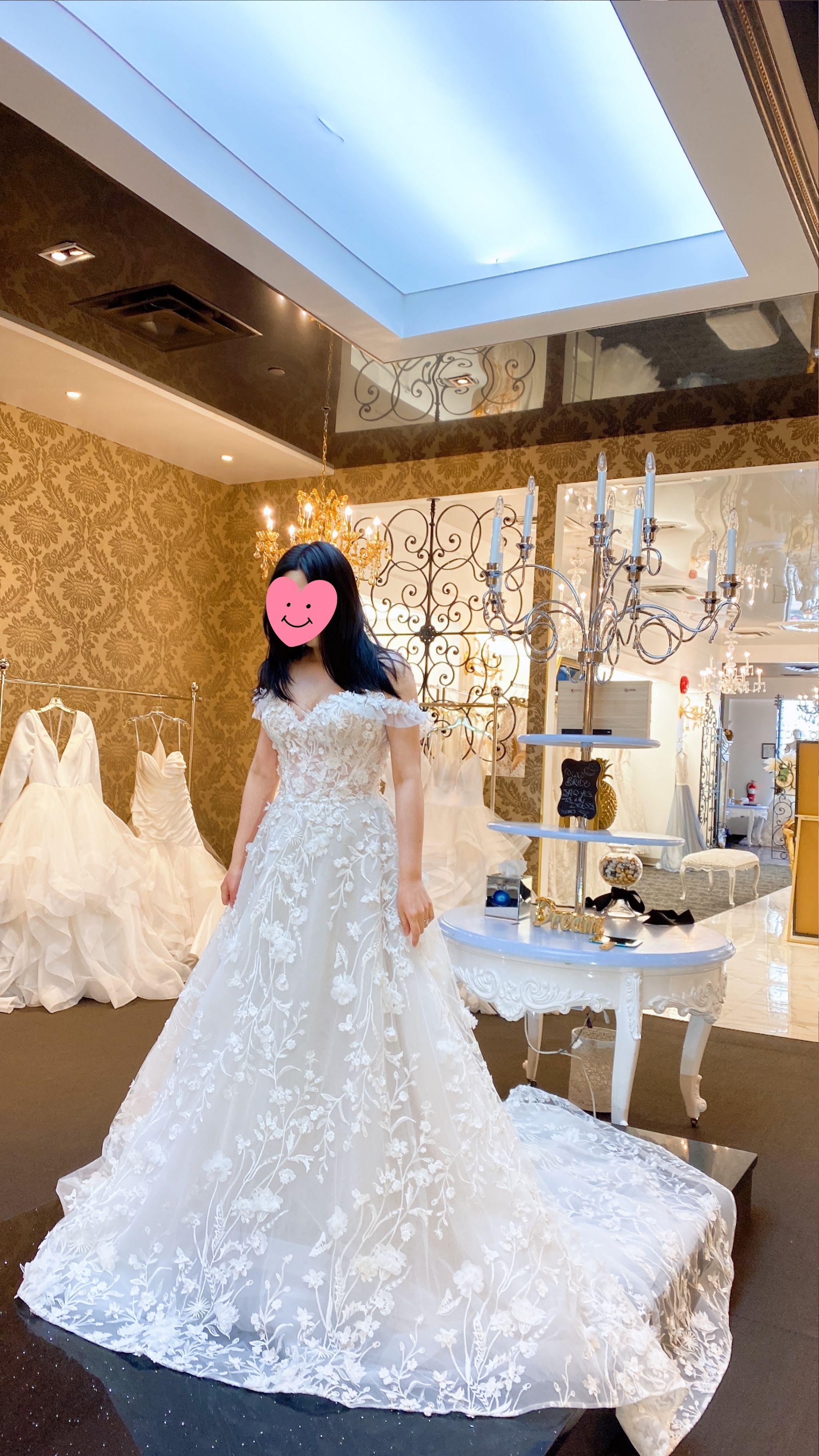 Coreena wedding dress | Honestweddingadvice.com