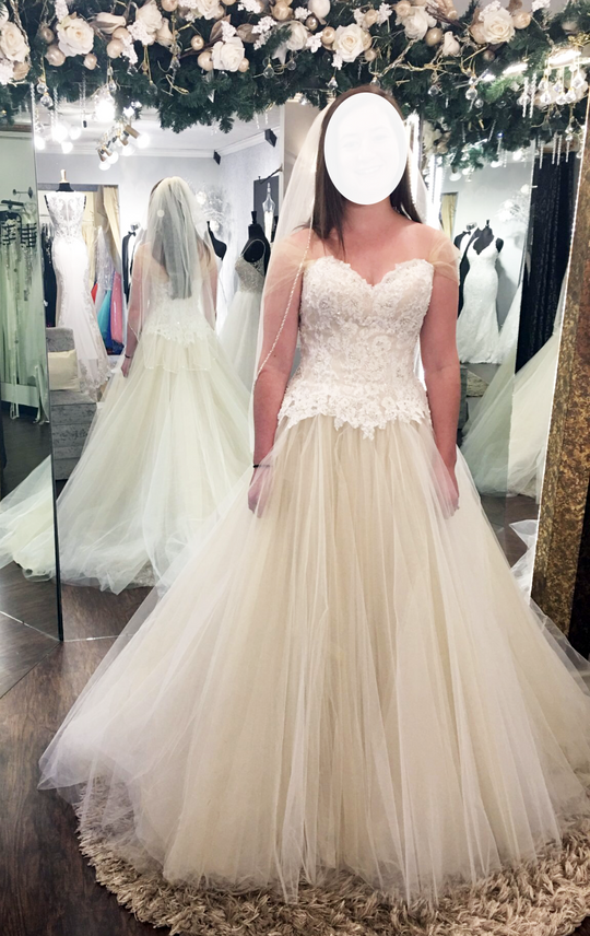 Casablanca 2282 Hydrangea