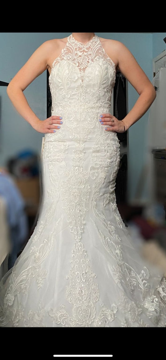 Casablanca josephine